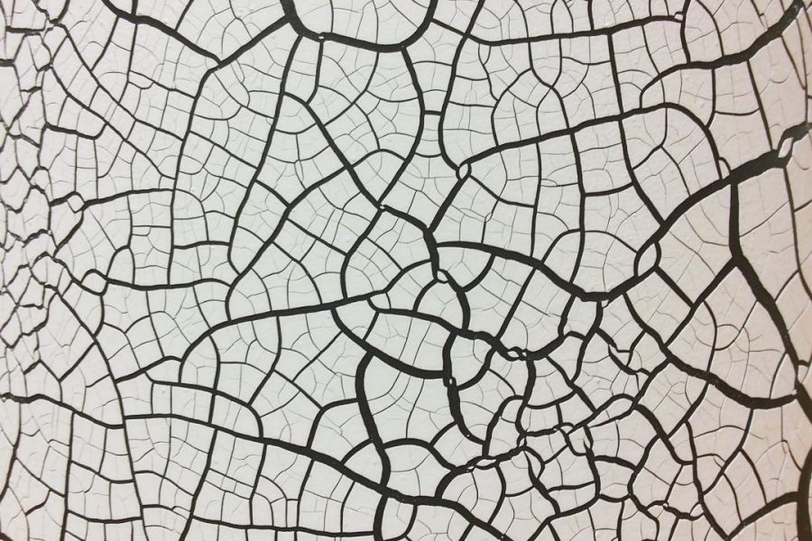 11931093_887630251329058_2099501102_n