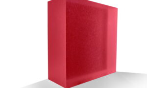 Hamachi Sushi Acrylic Resin Panel