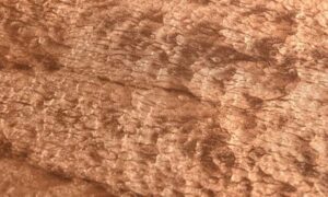 Textured Resin Surface with Organic Leaf Pattern