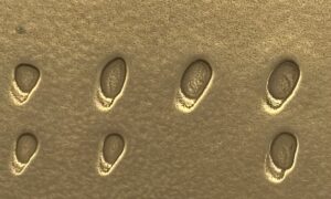 Raindrops Brass Liquid Metal Sheet