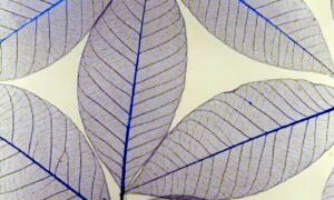 Luminous Neon Color Acrylic Sheet